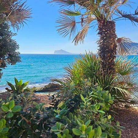 Atlantico Flamingo *