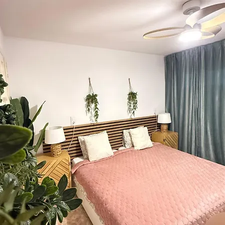 Atlantico Flamingo *