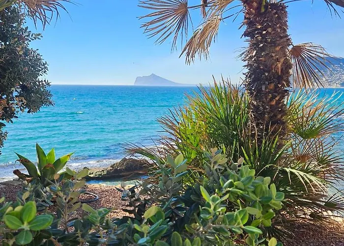 Atlantico Flamingo *