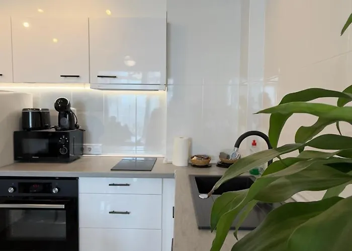 Atlantico Flamingo Calp