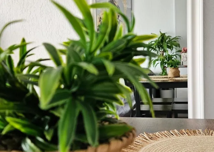 Atlantico Flamingo Apartment Calpe