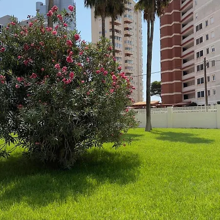 Atlantico Flamingo
