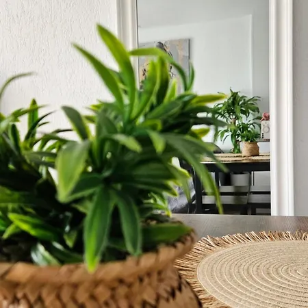 Atlantico Flamingo Apartman Calpe